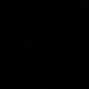 Meet your Posher, Riley